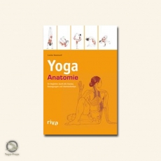 Yoga Anatomie